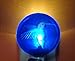 Cobalt Blue Hummingbird Up-Cycled Wine Bottle Bottom Handmade LED Night Light