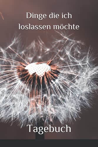 Preisvergleich Produktbild Dinge die ich loslassen möchte: Tagebuch