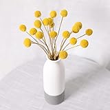 Florece para siempre, nunca se desvanecen: las flores traerán un estado de ánimo positivo y crearán una elegancia para tu vida. El color de las flores secas se puede conservar durante varios meses, no se verá afectado por estaciones ni ocasiones.
