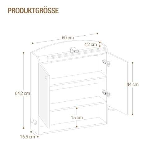 Hzuaneri Spiegelschrank Bad mit Beleuchtung, Badezimmerschrank mit Spiegel, Wandschrank, Haartrockner-Halter und Haken, mit Stecker, Verstellbarer Etagen, Weiß, 16,5 x 60 x 68,5 cm MC10003XEU