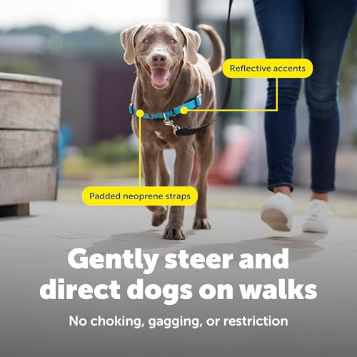 PetSafe Easy Walk Deluxe Dog Harness, No Pull Dog Harness – Perfect for Leash & Harness Training – Stops Pets from Pulling and Choking on Walks – Medium, Ocean - Image 6