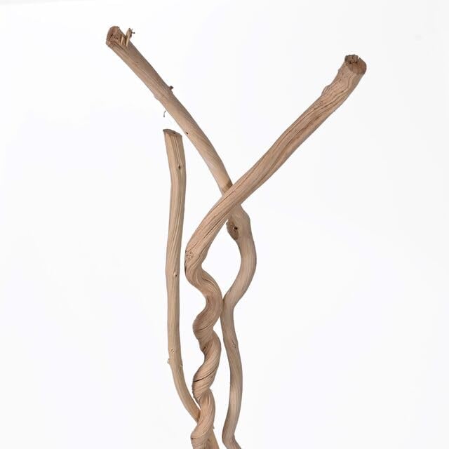 Dried White Dula 90cm Log Decorative Wood Branches Twigs Vase Filler (Pack of 3)