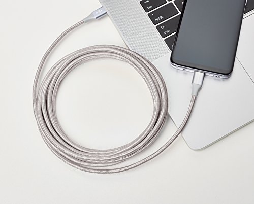 Image of Amazon Basics Double Braided Nylon USB-C to USB-C 2.0 Fast Charging Cable, 3A - 10-Foot, Silver