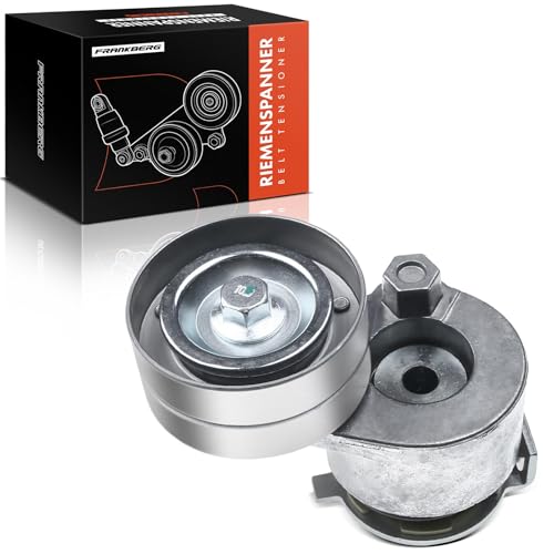 Frankberg Polea guía de rodillos Compatible con M.e.g.a.n.e II BM0/1 CM0/1 1.9L M.e.g.a.n.e II Coupé-Cabrio EM0/1 2.0L Grand Scénic II JM0/1 2.0L Grand Scénic II JM0/1 1.9L V46-0318