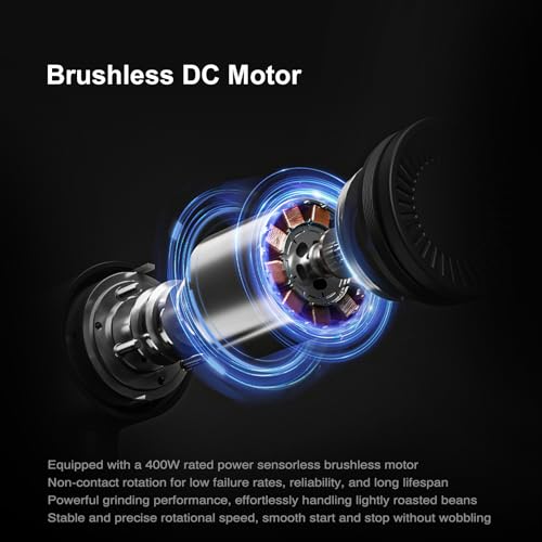 Burr Coffee Grinder for French Press