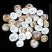 IndianStore4All 25 Pcs Gomti Chakra For Wealth, Health & Success