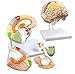 Teaching Model Tools,2X Life-Size Human Brain Anatomy Model with Labels 4-Parts for Learning Science Classroom Study Display Medical Model,9 Colors to Identify Brain Functions for