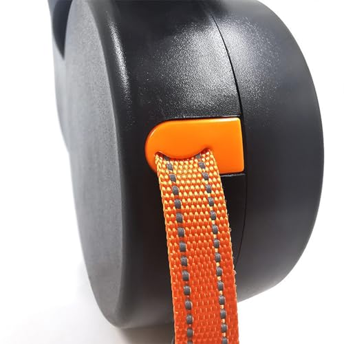 Accessoires d'animaux extensibles : laisse double rétractable avec LED - 8