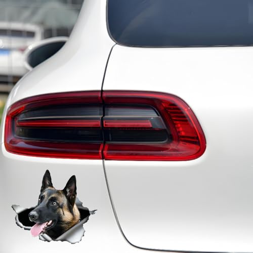 Pegatina para coche Malinois reflectante e impermeable de 25 cm efecto 3D 6