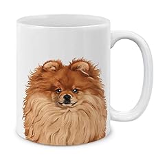 Cute Red Teacup Pomeranian Dog