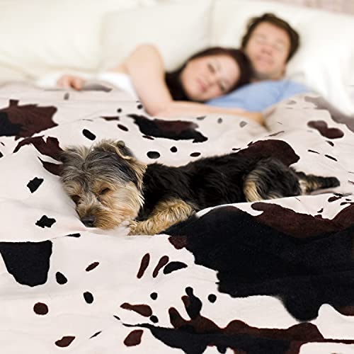 Yiyhuxf Cow Print Blanket Animal Brown Black Milky White Faux Fur Throw Blankets Western Cute Flannel Fleece Decorative Bed Sofa Office Blanket 60"X50" #TOP2