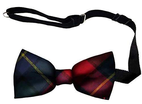 Noeud papillon tartan écossais Kilgour pour homme en laine avec sangle