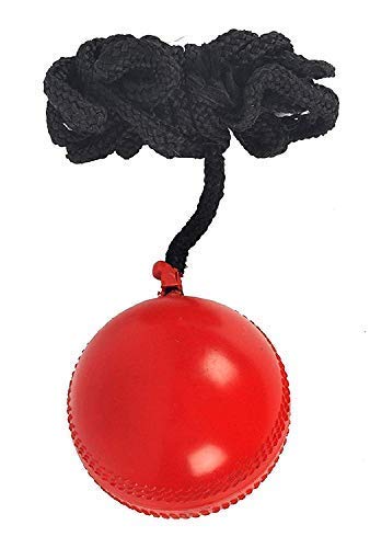 SG Enterprise Training Ball Cricket (Red) (B07J3NM65W) Amazon Price History, Amazon Price Tracker