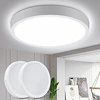 Aigostar Lampara de Techo LED 24W Ø289mm Plafon LED Techo 2700LM Luz blanco fria 6500K para Sala de Estar，Dormitorio，Cocina ，Pasillo，Balcón，2 piezas