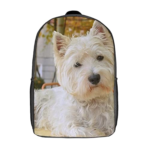 Mochila escolar unisex espaciosa contra el dolor de espalda para libros de texto pesados