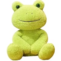 Frog Teddy, Frog Toy for Comfort and Stress Relief, Soft Weighted Plush for Home Decor And Gifts, 25cm Cuddly Companion