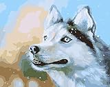 NiceHobby Paint by Numbers for Adults Beginner Acrylic Painting Kit Animal White Wolf 16x20 inches