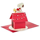 Hallmark Peanuts Valentines Day Pop Up Card (Snoopy and Woodstock) Paper Wonder 3D Card