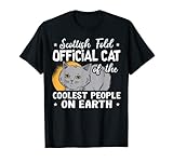 Gato oficial Scottish Fold de las personas más geniales de la tierra