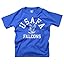 Air Force Falcons Blue
