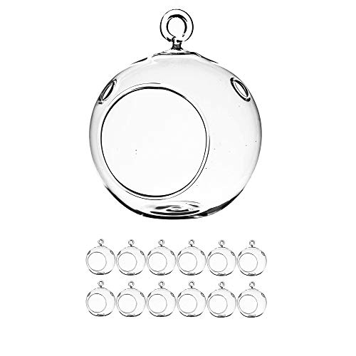 WGV Hanging Terrarium Globe Bulk, Width 2.25