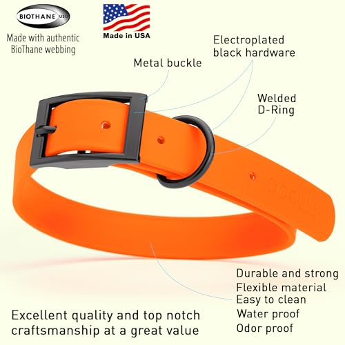 Image of Dogline Biothane Waterproof Dog Collar Strong Coated Nylon Webbing with Black Hardware Odor- Proof for Easy Care Easy to Clean High Performance Fits Small Medium or Large Dogs, Hunter Orange