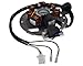 Produktbild 2EXTREME Lichtmaschine Version 1 kompatibel für ATU, Explorer Race GT 50 B92, KEEWAY RY6, TAURIS Samba 2-Takter JL50QT-51, SACHS Speedjet, Speedjet R, KREIDLER Galactica 2.0 DD, LIFAN S-Ray 50ccm
