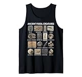 Paléontologie, fossiles, vie préhistorique, créatures préhistoriques, animaux anciens, espèces éteintes, sciences fossiles, histoire naturelle, histoire de la terre, temps géologique, enregistrement fossile, art de paléontologie, illustration fossile, diagramme fossile, graphique préhistorique