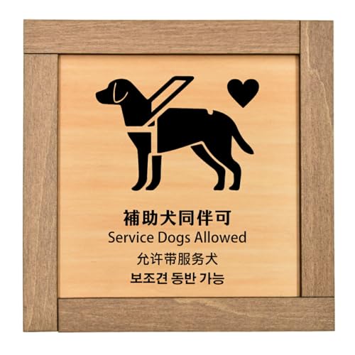 Ramdy(fB) ؐv[g 13.5x13.5cm ؘgt {(⏕ u[) CoEh  p  ؍ Ή  CeA ē Ŕ