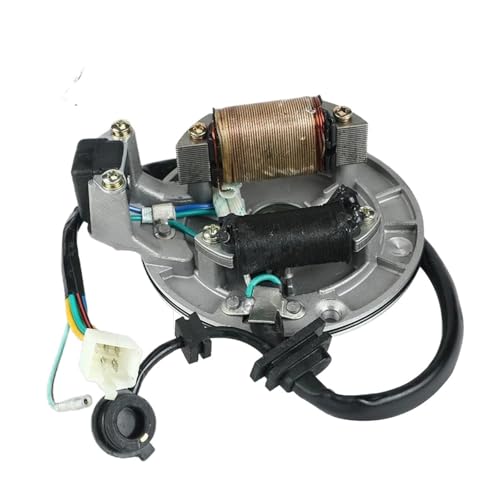 GROHAF Moto Bobine Stator Magnéto Kit De Stator Et De Volant D'inertie pour Allumage De Moto pour Les Moteurs Horizontaux pour Lifan LF 50cc 110cc Et 125cc S