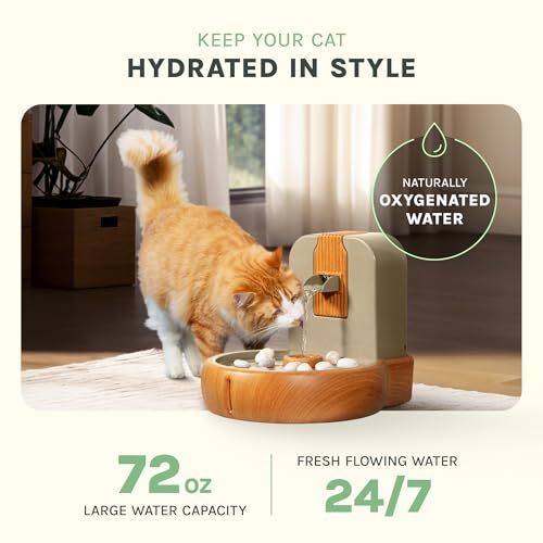 Fuente de agua para gatos Zen hecha con bioplástico de trigo 3