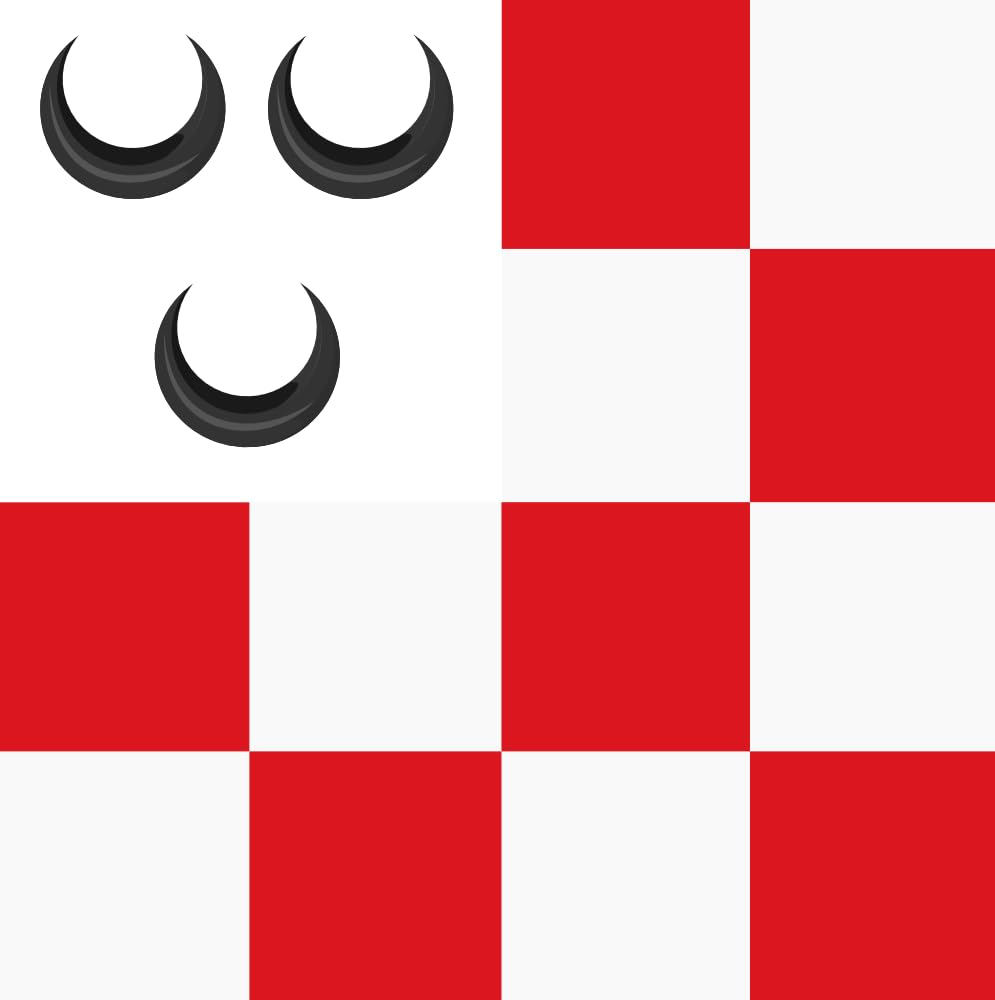 Vlag Oosterhout 1935 grand drapeau hollandais pour décoration
