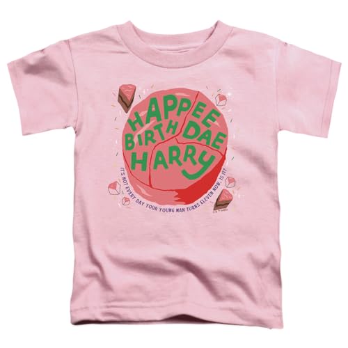Popfunk Harry Potter Birthday Happee Birthdae Kids T Shirt for Youth Toddler Boys and Girls2