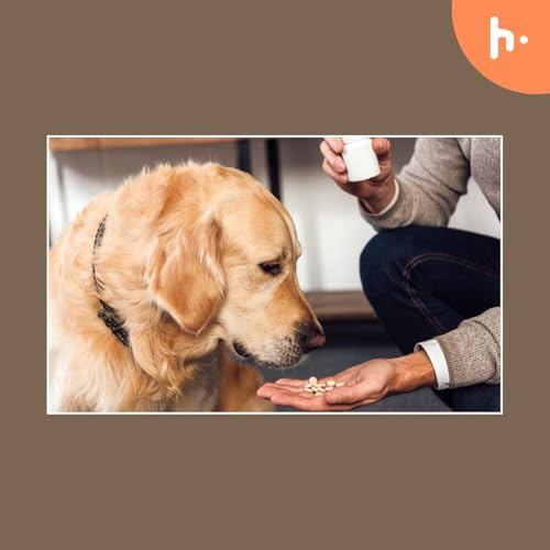 Things You Should Know Before Buying Pet Supplements Podcast Por Gerald Williams arte de portada