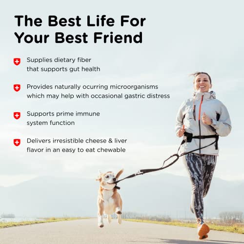 Nutri-Vet Pre And Probiotic Soft Chews For Dogs | Digestive Health Support Dog Probiotics | Tasty Alternative To Dog Probiotic Powder | 120 Soft Chews | Liver, Cheese #TOP4