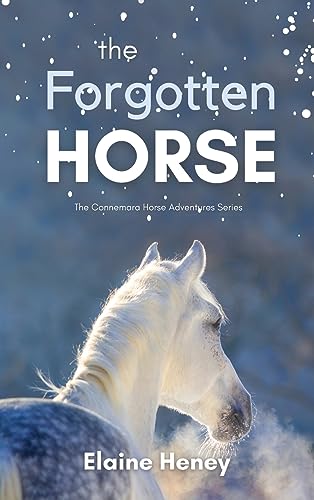 The Forgotten Horse - Book 1 in the Connemara Horse