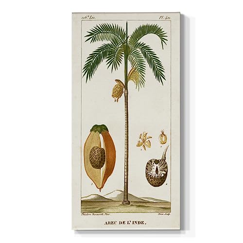 Renditions Gallery Home Nature Wall Art Modern Decorations Paintings Turpin Exotic Date Palm Tree Abstract Nature Decorations for Office Kitchen Living Room - 12"X24" LT520
