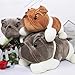 Imagen de TOPLITHE Bulldog Peluche