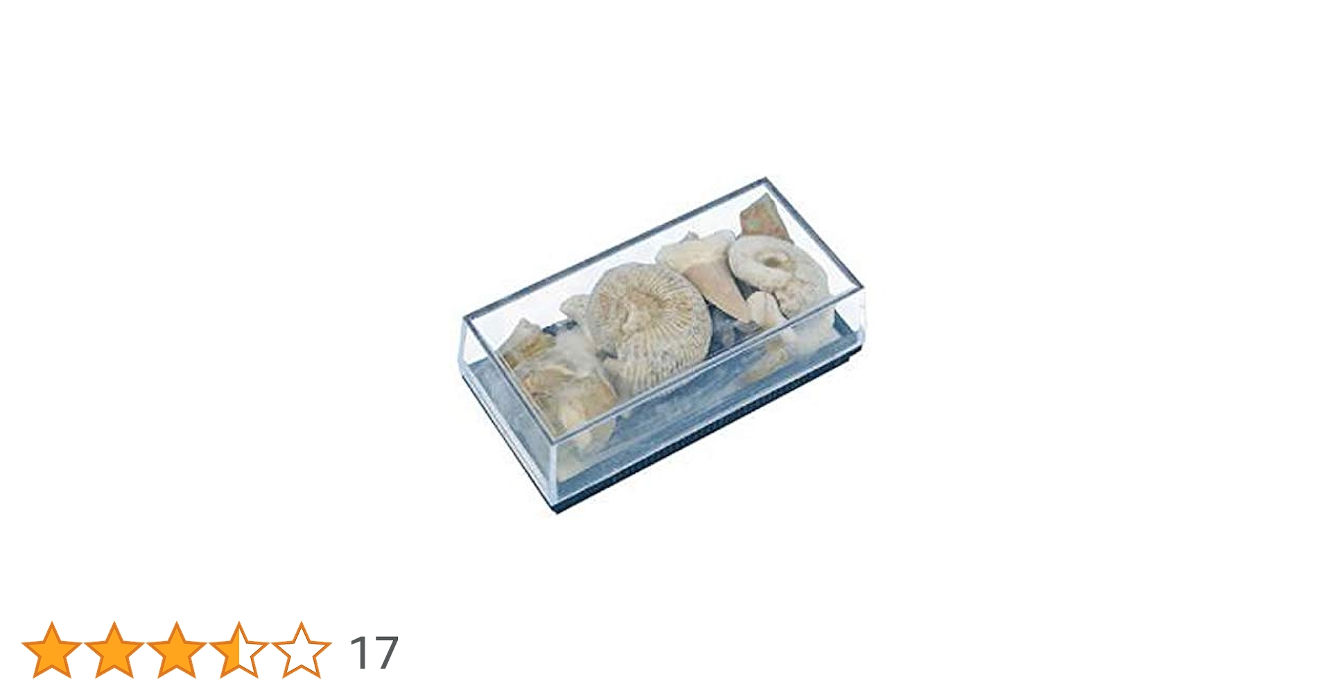 アンモナイトの標本箱 61aE8-hKOqL._UF350,350_QL50_.jpg