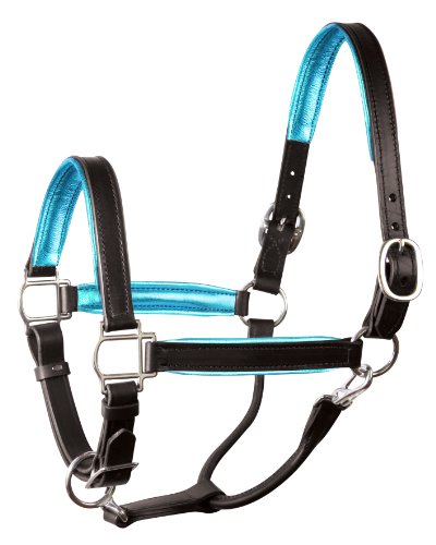 Perri's Leather Metallic Padded Leather Halter, Horse, Black/Turquoise