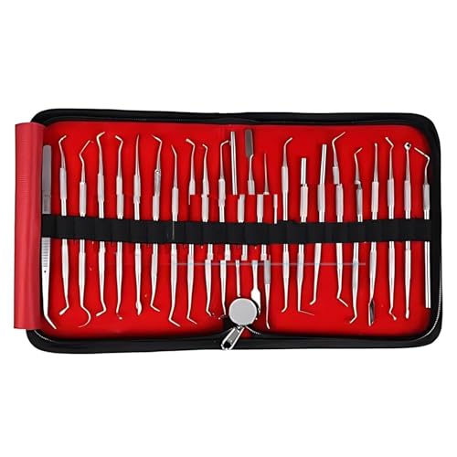 Premium Dental Conservative Instrument Kit, 23 Piece, Dental Filling Instruments, Matte Finish