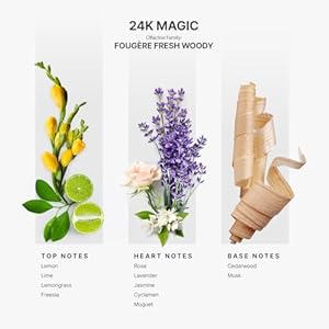 Aromaplan Hotel Scents 24K Magic 16 Fl Oz (473ml), Home Luxury Aroma & Hotel Diffuser Oil- Hotel Diffuser Oil for Aromatherapy- USA Made, Bigger Bottle, Bolder Aroma & Longer Lasting Aromaplan Hotel Scents 24K Magic 16 Fl Oz 473ml Home Luxury Aroma Hotel Diffuser Oil Hotel Diffuser Oil for Aromatherapy USA Made Bigger Bottle Bolder Aroma Longer Lasting