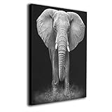 OANAklsd Black and White Glass Splashback Elephant Wall Art Painting Pictures Print On Canvas Home...