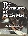 The Adventures of Mitzie Mae: the Texas Aussie