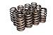 COMP Cams 26981-12 Performance Street 1.240" OD Beehive Spring; 1.700" Installed Height; 12 Springs