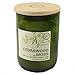 Paddywax Eco Green Artisan Recycled Vessel, 8-Ounce Candle, Cedarwood & Moss