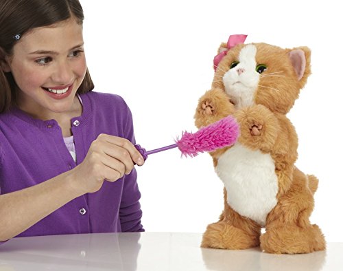 Furreal Friends Daisy Plays With Me Kitty Toy Desertcart INDIA