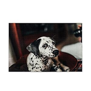 Dalmatische legpuzzels voor volwassenen kinderen puzzel speelgoed 300 stuk