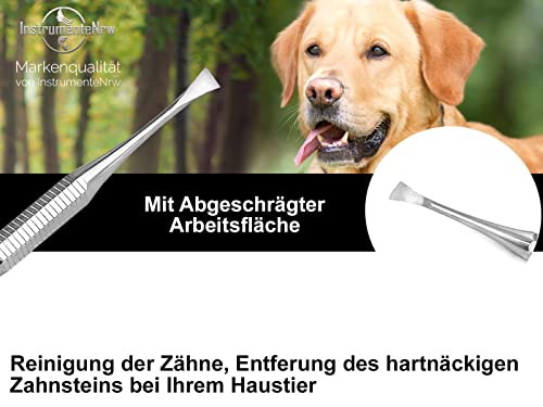 Mini Hunde Zahnsteinkratzer Zahnsteinentferner Haustier Zahnpflege Zahnreiniger für Tiere Zahnbürsten-Alternative aus Edelstahl