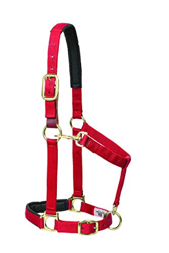Weaver Leather Padded Breakaway Adjustable Chin And Throat Snap Halter, 1" Average Horse Or Yearling Draft, Red #TOP1